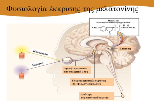 ΦΥΣΙΟΛΟΓΙΑ ΤΟΥ ΥΠΝΟΥ